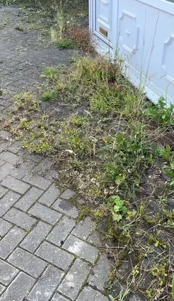 Heavy weed and moss growth on a block paving driveway in Dudley before professional jet washing treatment.