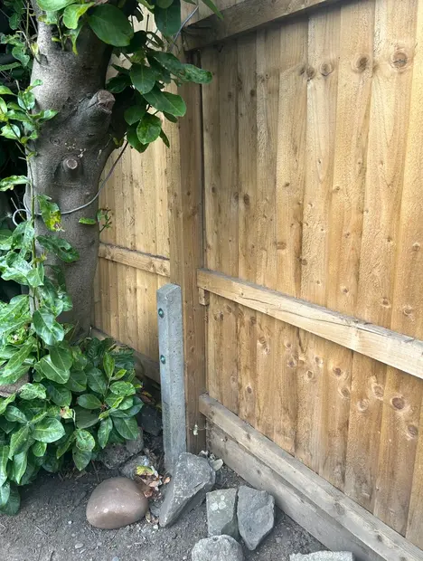 Feather edge garden fencing installation in Dudley