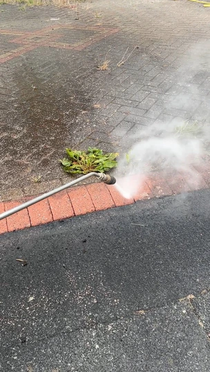 Deep clean jet washing removing deep-rooted weeds and moss from block paving joints in Dudley.